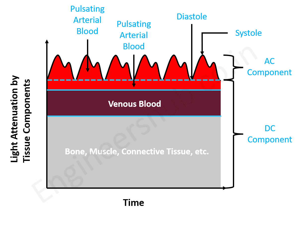 Light Attenuation through tissue